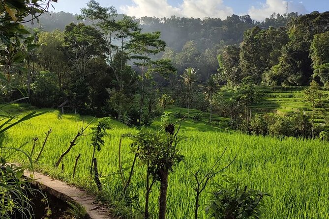 Sidemen Trekking: A Walk from a Different Perspective - Crossing the wooden bridge and passing local temples