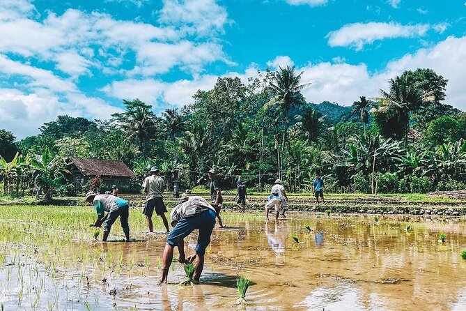 Sidemen Trekking: A Walk from a Different Perspective - How difficult is this two-hour trek?