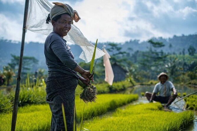 Sidemen Trekking: A Walk from a Different Perspective - From village lanes to rice terraces