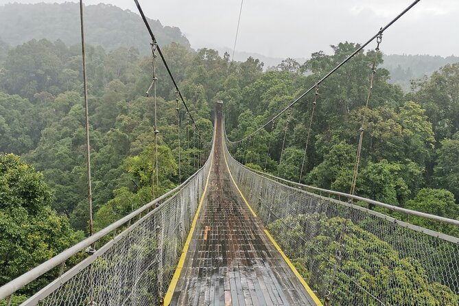 Situ Gunung Waterfall & Suspension Bridge Sukabumi start Jakarta - Why this makes a good break from Jakarta