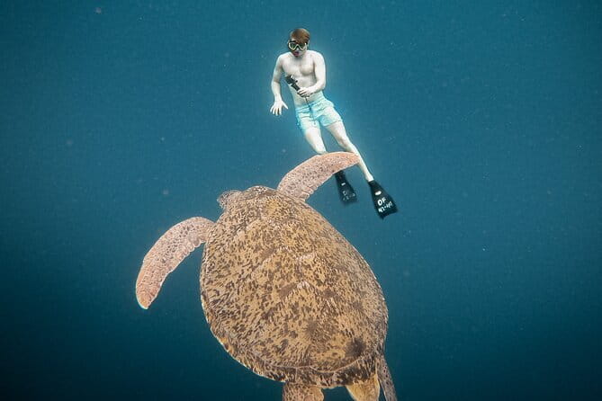 Snorkeling 3 Spots with GoPro & West Coast Tour Nusa Penida - What to expect at Manta Bay