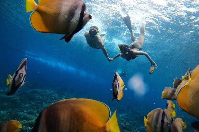 Snorkeling 3 Spots with GoPro & West Coast Tour Nusa Penida - Angels Billabong adds a second rock formation