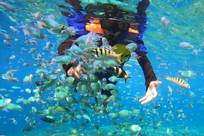 Snorkeling 3 Spots with GoPro & West Coast Tour Nusa Penida - The guide and car portion after the sea