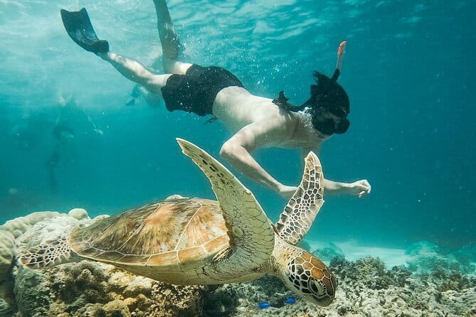 Snorkeling 3 Spots with GoPro & West Coast Tour Nusa Penida - Gamat Bay gives the morning more depth