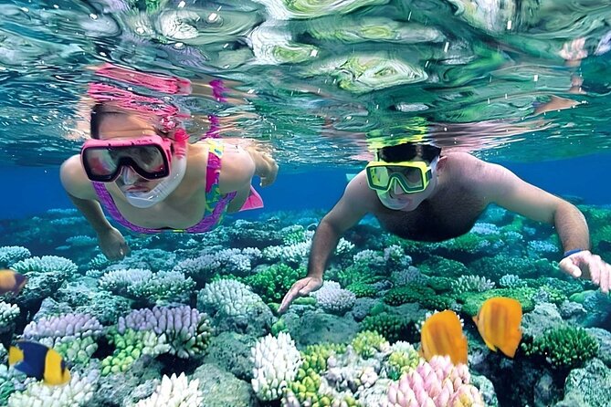 Snorkeling 4 Spot With Manta Bay Or Optional Land Trip - Four stops, four reasons to get in the water
