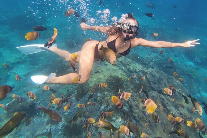 Snorkeling 4 Spot With Manta Bay Or Optional Land Trip - GoPro photos and videos are part of the package