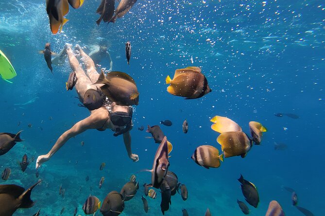 Snorkeling 4 Spot With Manta Bay Or Optional Land Trip - Fastboat access from Sanur or a Nusa Penida meeting point