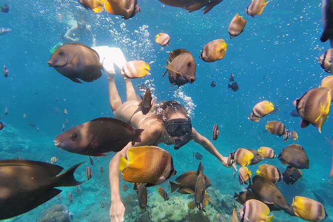 Snorkeling 4 Spot With Manta Bay Or Optional Land Trip - Is $14.14 good value?