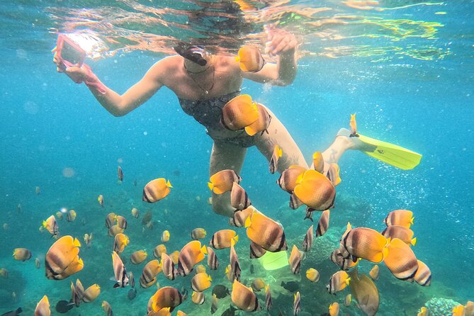 Snorkeling 4 Spot With Manta Bay Or Optional Land Trip - Who should book this Nusa Penida outing?