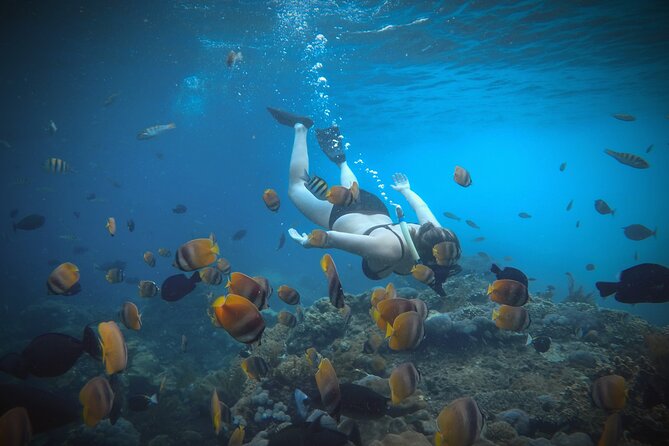 Snorkeling 4 Spots, Manta Rays, Tembeling Pool & Kelingking Beach - Lunch at El Moon Penida
