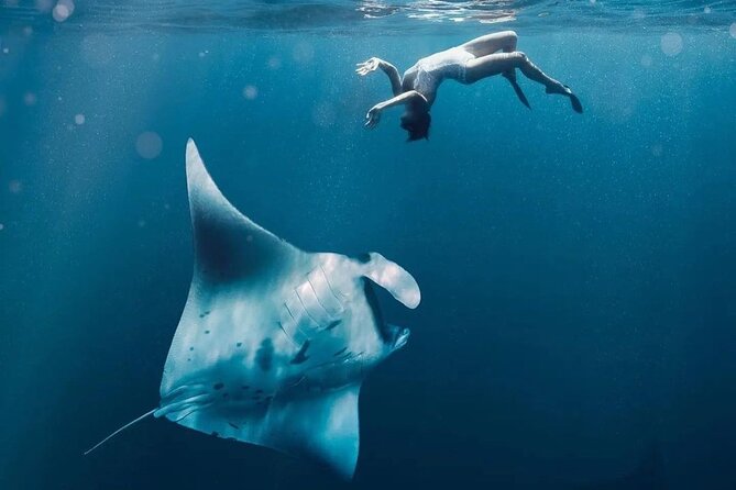 Snorkeling 4 Spots, Manta Rays, Tembeling Pool & Kelingking Beach - Four snorkeling stops around Nusa Penida
