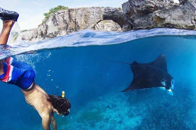 Snorkeling adventure to the manta ray habitat in Nusa Penida - Why Manta Point is the main attraction