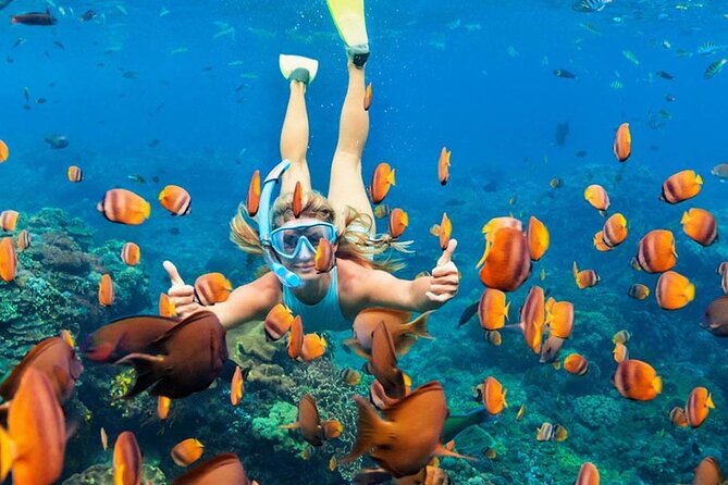 Snorkeling adventure to the manta ray habitat in Nusa Penida - Who will enjoy this Nusa Penida outing