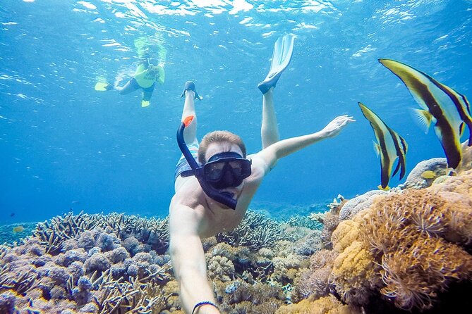 Snorkeling adventure to the manta ray habitat in Nusa Penida - A short boat trip with useful photo help