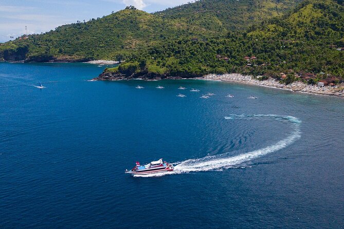 Snorkeling Adventure with East Nusa Penida Tour All Inclusive - Diamond Beach on Nusa Penida’s east coast