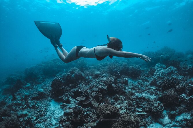 Snorkeling and Freediving Trip around Nusa Penida - Meeting at Freedive Nusa at 10 am