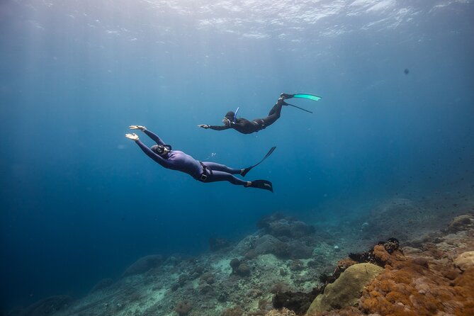 Snorkeling and Freediving Trip around Nusa Penida - Toyapakeh Wall brings the coral and fish