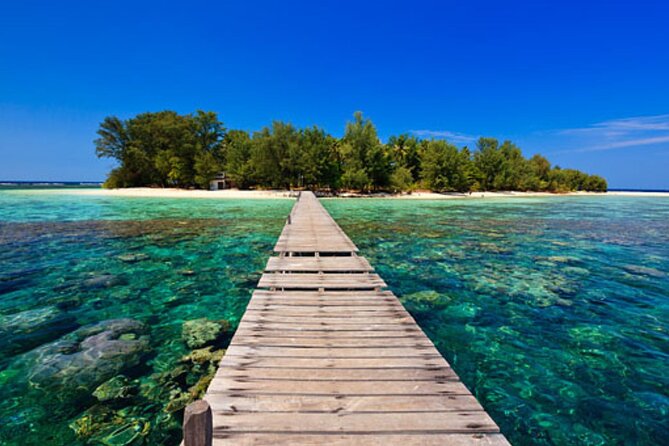 Snorkeling and Island Hopping Tour in Karimunjawa (sharing tour) - The second reef, colorful coral, and possible turtles
