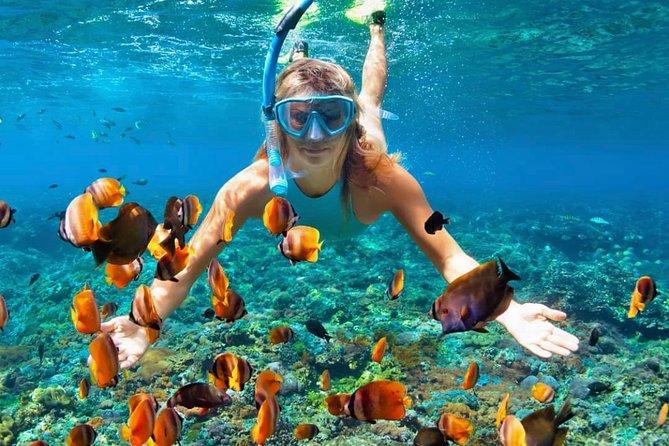 Snorkeling At Blue lagoon And Hidden waterfall - Tanjung Jepun and Blue Lagoon: the main event