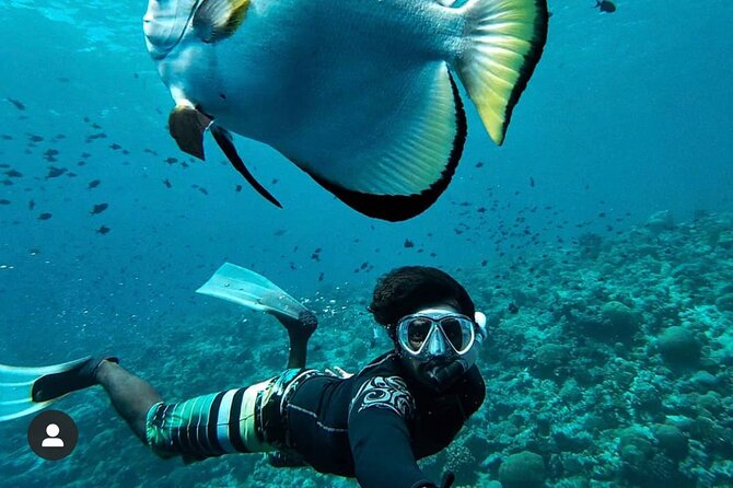 Snorkeling At Blue lagoon And Hidden waterfall - A local Balinese lunch after the water