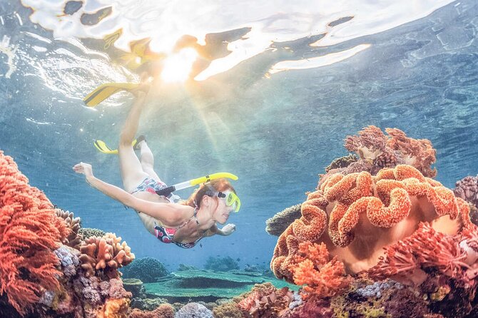 Snorkeling at Blue Lagoon Bali with Lunch and Transport - Why Blue Lagoon is worth the ride from Ubud