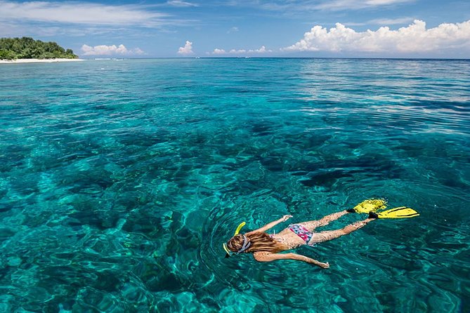 Snorkeling at Blue Lagoon Bali with Lunch and Transport - Who should book this Blue Lagoon outing?