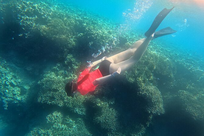 Snorkeling at Menjangan Island Bali Hidden Underwater Gem - The 9:00 AM pickup and ride to Banyuwedang Beach