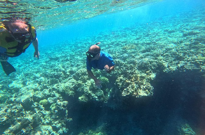 Snorkeling at Menjangan Island Bali Hidden Underwater Gem - Turtles, coral, and realistic wildlife expectations