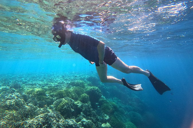 Snorkeling at Menjangan Island Bali Hidden Underwater Gem - Who will enjoy this Menjangan outing most