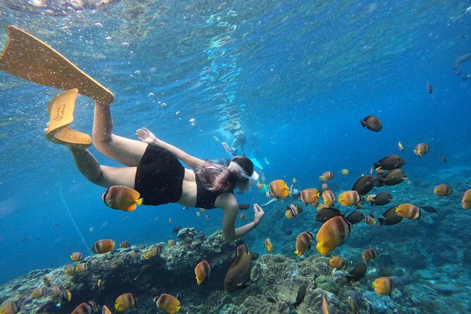 Snorkeling Day Trip To Lembongan and Penida - What the day is really about