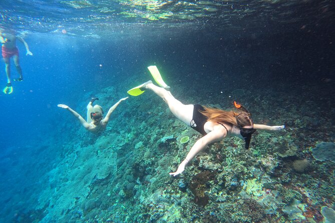 Snorkeling Day Trip to Nusa Lembongan and Nusa Penida - Key points to know before you book