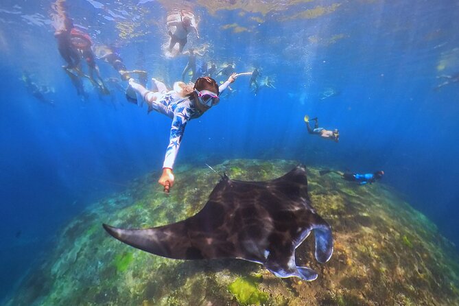 Snorkeling Day Trip to Nusa Lembongan and Nusa Penida - Stop two: Nusa Penida and the best chance for mantas