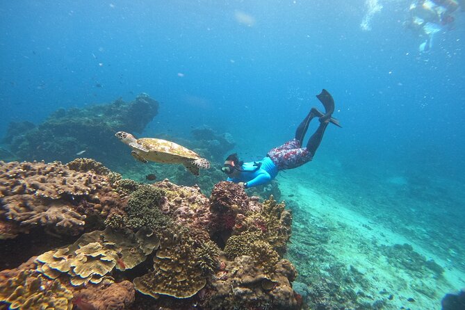 Snorkeling Day Trip to Nusa Lembongan and Nusa Penida - Stop three: Mangrove Point near Lembongan