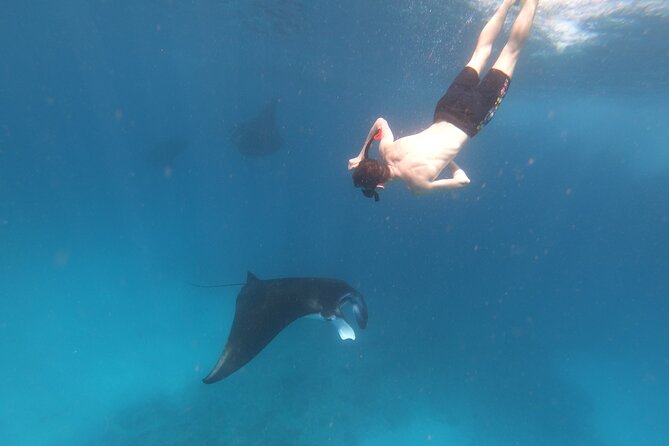 Snorkeling Day Trip to Nusa Lembongan and Nusa Penida - Who will enjoy this day most
