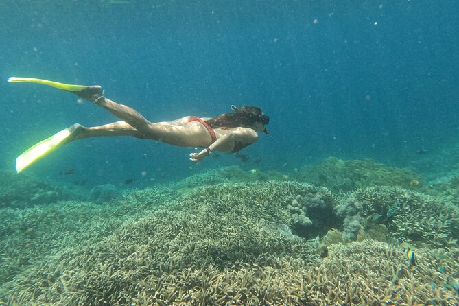 Snorkeling Day Trip to Nusa Lembongan and Nusa Penida - Stop one: Nusa Lembongan and its shallow-water appeal