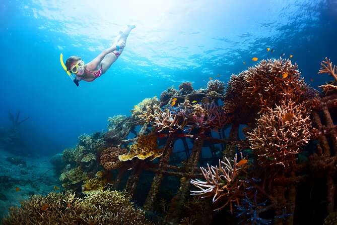 Snorkeling in Blue Lagoon Padang Bai Bali : Snorkel in the clear blue waters - Reaching Blue Lagoon from Seminyak