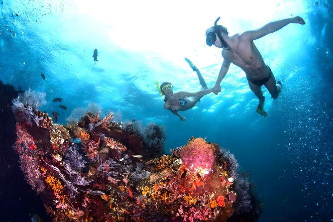 Snorkeling in Blue Lagoon Padang Bai Bali : Snorkel in the clear blue waters - Why the private format is worth considering