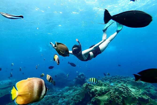 Snorkeling In Nusa Penida And Uluwatu Sunset Tours - Manta Point And The Chance Of Seeing Rays