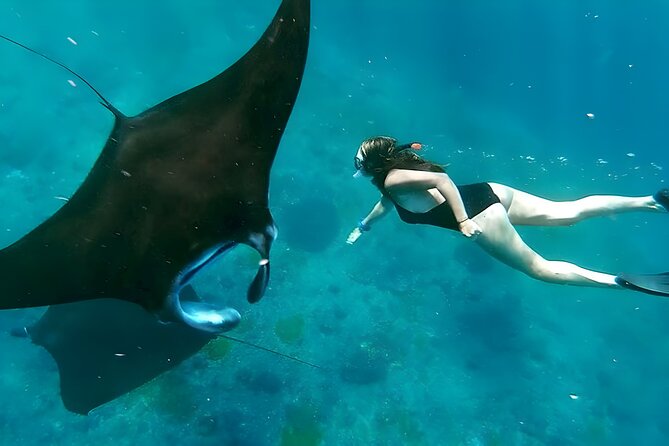 Snorkeling In Nusa Penida Departing From Bali Island - Key points before you book