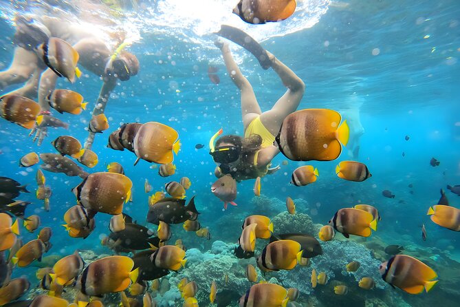 Snorkeling In Nusa Penida Departing From Bali Island - The real appeal: a full day on the water without complicated planning