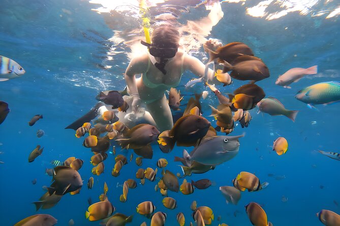 Snorkeling In Nusa Penida Departing From Bali Island - Crystal Bay: famous name, unpredictable conditions