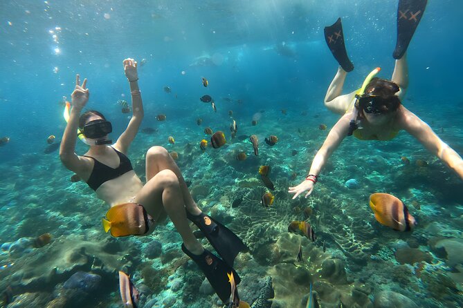 Snorkeling In Nusa Penida Departing From Bali Island - Wall Point: often the strongest reef stop