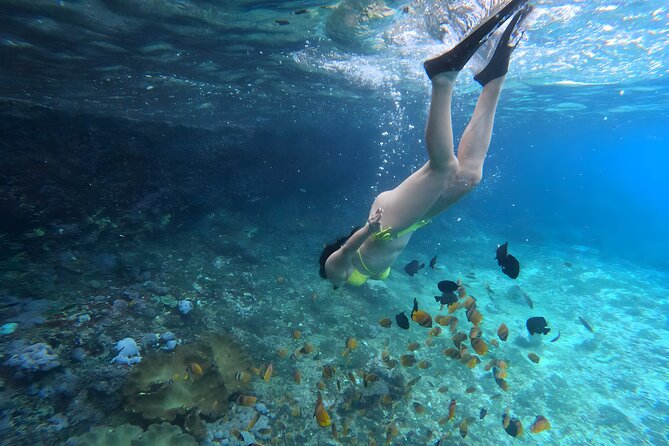 Snorkeling In Nusa Penida Departing From Bali Island - Is $104.50 good value from Bali?