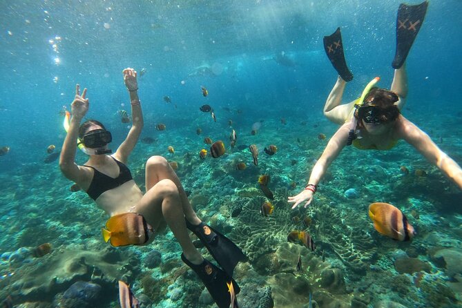 Snorkeling In Nusa Penida Island With Manta Ray From Bali - What the Nusa Penida snorkeling route really offers