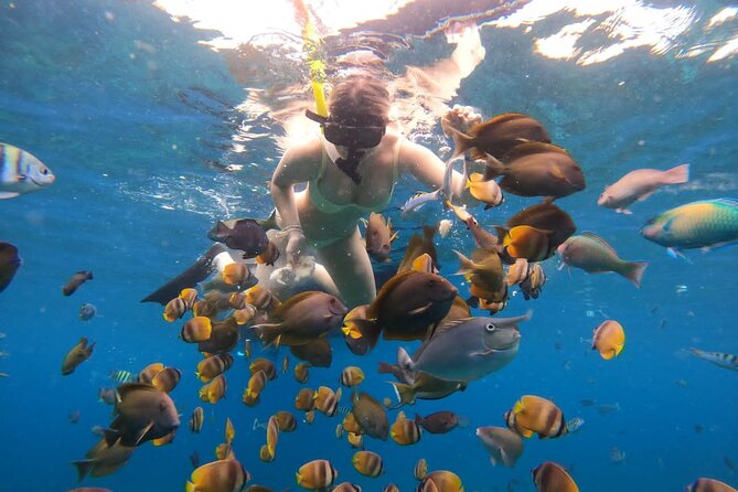 Snorkeling In Nusa Penida Island With Manta Ray From Bali - Gamat Bay, the first water stop
