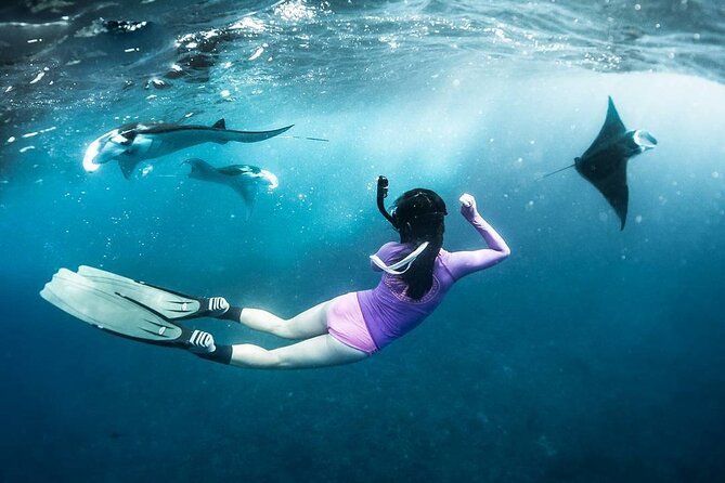 Snorkeling Manta Ray in Nusa Lembongan - Four possible sites, four different reasons to go