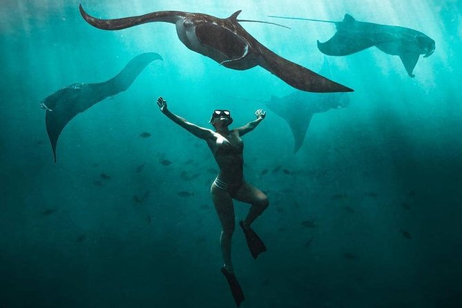 Snorkeling Manta Ray Safari in Nusa Penida - Key points to know before booking