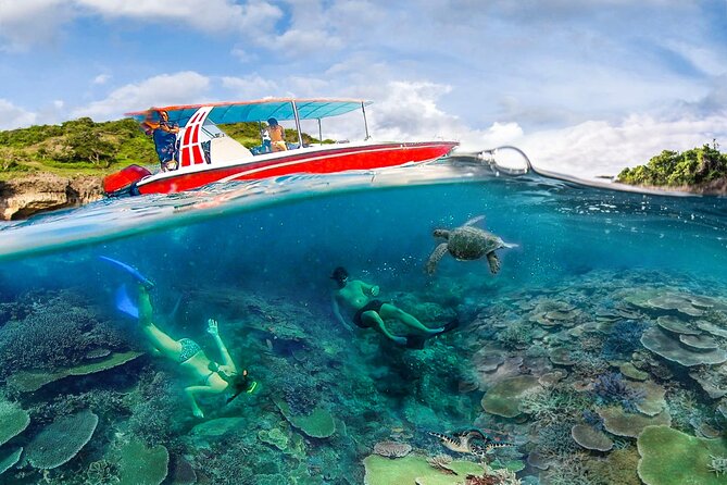 Snorkeling Manta Ray Safari in Nusa Penida - Manta Bay is the reason to go