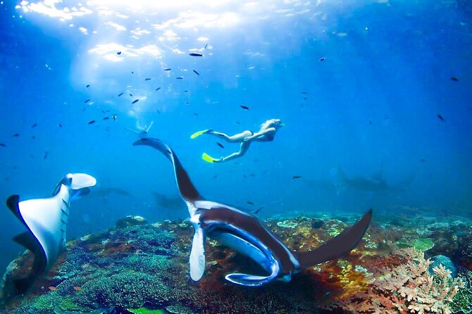 Snorkeling Manta Ray Safari in Nusa Penida - Wall Bay Point rounds out the route
