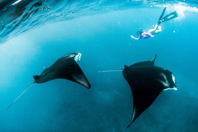 Snorkeling Manta Ray Safari in Nusa Penida - What the two-and-a-half-hour schedule really means